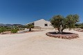 Wunderschöne bezugsfertige Villa mit Gästehaus und Pool in Alicante Dream Homes Hondon