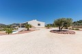 Belle villa prête à emménager avec maison d'hôtes et piscine in Alicante Dream Homes Hondon