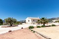 Wunderschöne bezugsfertige Villa mit Gästehaus und Pool in Alicante Dream Homes Hondon