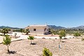 Belle villa prête à emménager avec maison d'hôtes et piscine in Alicante Dream Homes Hondon