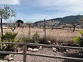 Schöne kleine Villa mit herrlichem Blick am Stadtrand von La Romana in Alicante Dream Homes Hondon