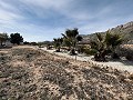 Schöne kleine Villa mit herrlichem Blick am Stadtrand von La Romana in Alicante Dream Homes Hondon