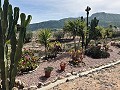 Schöne kleine Villa mit herrlichem Blick am Stadtrand von La Romana in Alicante Dream Homes Hondon