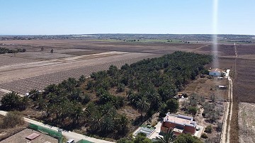 Terre dans Alicante, Elche