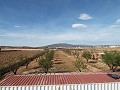 Villa moderne de 3 chambres à pied de la ville avec maisons d'hôtes in Alicante Dream Homes Hondon