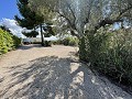 Maison de Campagne Individuelle à Biar in Alicante Dream Homes Hondon