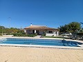 Detached Villa in Aspe in Alicante Dream Homes Hondon