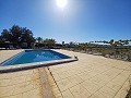 Detached Villa in Aspe in Alicante Dream Homes Hondon