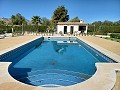 Detached Villa in Aspe in Alicante Dream Homes Hondon