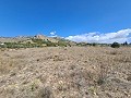 16,200m2 of land in Sax - Santa Eulalia in Alicante Dream Homes Hondon