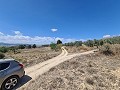 16,200m2 of land in Sax - Santa Eulalia in Alicante Dream Homes Hondon