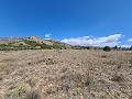 16,200m2 of land in Sax - Santa Eulalia in Alicante Dream Homes Hondon