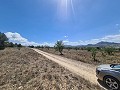 16,200m2 of land in Sax - Santa Eulalia in Alicante Dream Homes Hondon