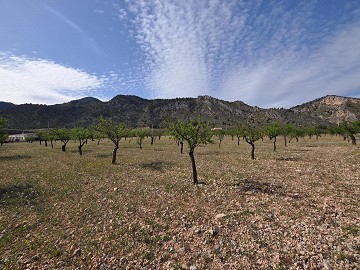 Terrain à bâtir légal avec eau de ville et électricité à Salinas près de Sax