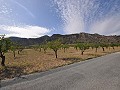 Terrain à bâtir légal avec eau de ville et électricité à Salinas près de Sax in Alicante Dream Homes Hondon