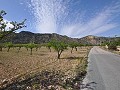 Terrain à bâtir légal avec eau de ville et électricité à Salinas près de Sax in Alicante Dream Homes Hondon