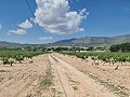 2 Parcels in Salinas with water and electricity in Alicante Dream Homes Hondon