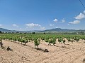 2 Parcelles à Salinas avec eau et électricité in Alicante Dream Homes Hondon