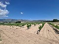 2 Parcelles à Salinas avec eau et électricité in Alicante Dream Homes Hondon