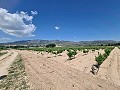 2 Parcelles à Salinas avec eau et électricité in Alicante Dream Homes Hondon