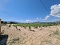 2 Parcelles à Salinas avec eau et électricité in Alicante Dream Homes Hondon