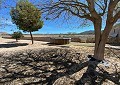 Wunderschönes 140 Jahre altes Bauernhaus in Salinas in Alicante Dream Homes Hondon