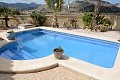 5 Bed 2 Bath Villa with Pool in Alicante Dream Homes Hondon