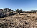 Geräumige Villa mit toller Aussicht und nur wenige Gehminuten von La Romana entfernt in Alicante Dream Homes Hondon