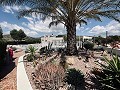 Geräumige Finca mit Swimmingpool und Carport in Hondon de las Nieves in Alicante Dream Homes Hondon