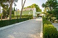 Luxe villa in Aspe op loopafstand van de stad in Alicante Dream Homes Hondon