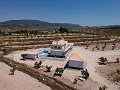 Villas de Obra Nueva en Pinoso con piscina y parcela in Alicante Dream Homes Hondon