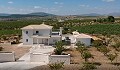 Dream New Build Villas in Alicante's beautiful countryside in Alicante Dream Homes Hondon