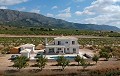 Dream New Build Villas in Alicante's beautiful countryside in Alicante Dream Homes Hondon