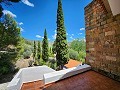 Dos casas mas ruinas y gran cantidad de terreno in Alicante Dream Homes Hondon