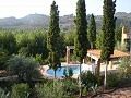 Deux maisons plus des ruines et une grande quantité de terrain in Alicante Dream Homes Hondon