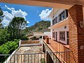 Deux maisons plus des ruines et une grande quantité de terrain in Alicante Dream Homes Hondon