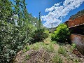 Two houses plus ruins and large amount of land in Alicante Dream Homes Hondon