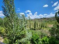 Two houses plus ruins and large amount of land in Alicante Dream Homes Hondon