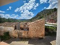 Two houses plus ruins and large amount of land in Alicante Dream Homes Hondon