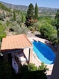 Deux maisons plus des ruines et une grande quantité de terrain in Alicante Dream Homes Hondon