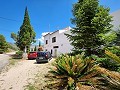 Dos casas mas ruinas y gran cantidad de terreno in Alicante Dream Homes Hondon