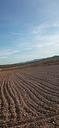 Baugrundstück in Salinas mit Strom in der Nähe und Wasserv in Alicante Dream Homes Hondon