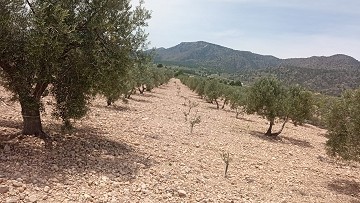 Baugrundstück in Salinas mit Strom in der Nähe und Wasser