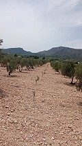 Baugrundstück in Salinas mit Strom in der Nähe und Wasser in Alicante Dream Homes Hondon