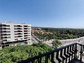 Appartement in Elx in Alicante Dream Homes Hondon