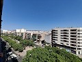 Apartment in Elche in Alicante Dream Homes Hondon