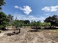 Vrijstaand landhuis in Caudete in Alicante Dream Homes Hondon