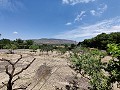 Freistehendes Landhaus in Caudete in Alicante Dream Homes Hondon