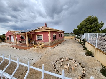 Villa de 4 dormitorios con piscina