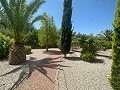 Amazing villa in Hondon de las nieves in Alicante Dream Homes Hondon